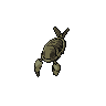 Dark Anorith (Fossil)